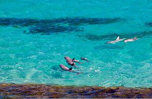 Unwind Kangaroo Island Dreaming