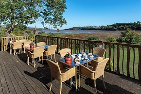 Sycamore