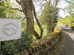 Cyffdy Cottage - Aran
