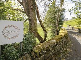 Cyffdy Cottage - Tegid