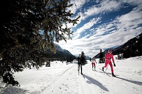 Chalet Aster
