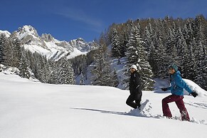 Chalet Aster