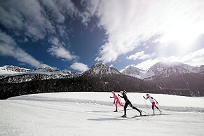 Chalet Aster
