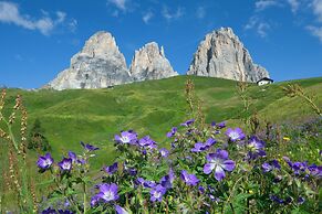 Chalet Aster