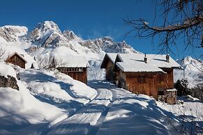 Chalet Aster