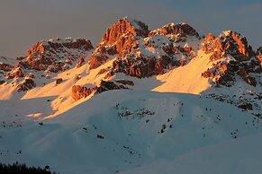 Chalet Aster