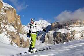 Chalet Aster