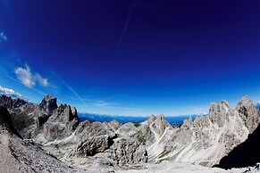 Chalet Aster