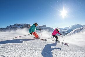Chalet Aster