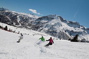 Chalet Aster