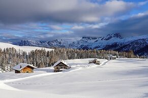 Chalet Aster