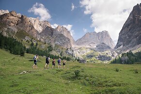 Chalet Aster