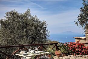 Il Tulipano