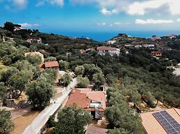 Il Tulipano