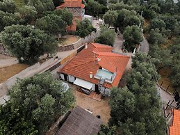 Il Tulipano