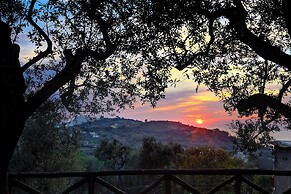 Il Tulipano
