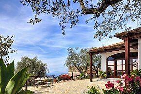 Il Tulipano