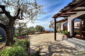 Il Tulipano