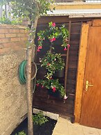 B&B Dimora Saracena