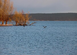 Appartement Hafenflair am Plauer See