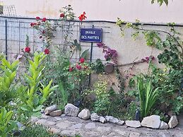 paradis colibri