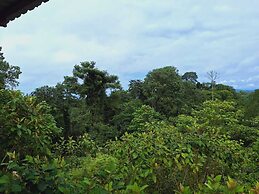 Corcovado Tropical Garden