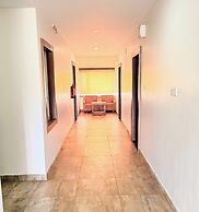 PARADISE PREMIUM