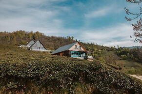 Livoz Suit Bungalov
