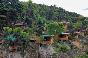 Amaya View