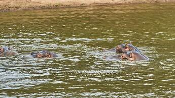 Sable Ranch Thaba Khaya