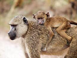 Sable Ranch Thaba Khaya