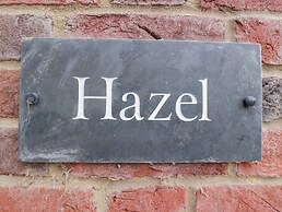 Hazel