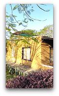 Alampat Nest