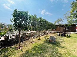 Alampat Nest