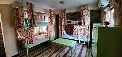 Kiwi Backpackers Hostel