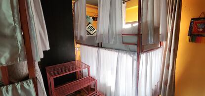 Kiwi Backpackers Hostel