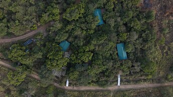 Wilds Wilpattu