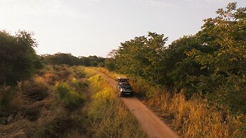 Wilds Wilpattu