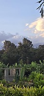 Tulivu Escape