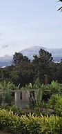 Tulivu Escape