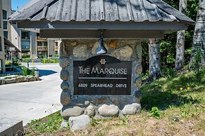 Big Mauna at the Marquise