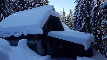 Idyllic Cabin With Sauna
