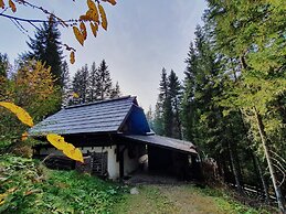 Idyllic Cabin With Sauna