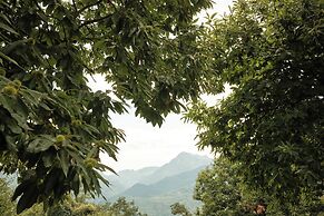 Il Ciocco Cottage