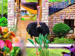 Lake Bogoria Spa Resort