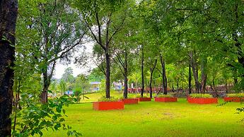 Rustic River Resort