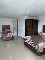 La casa de las palmeras