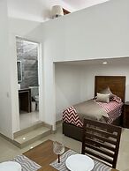 La casa de las palmeras