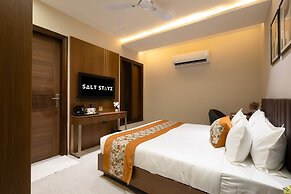 Saltstayz Premier Naraina Central Delhi
