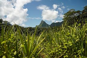 Moorea - Paopao Pool Mountain